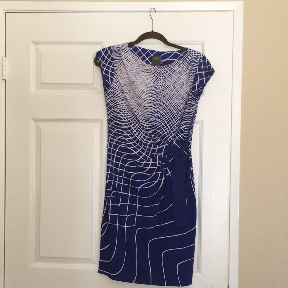 Taylor blue and white dress.